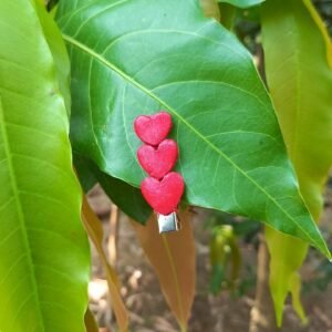 Hair Clip Set (5)