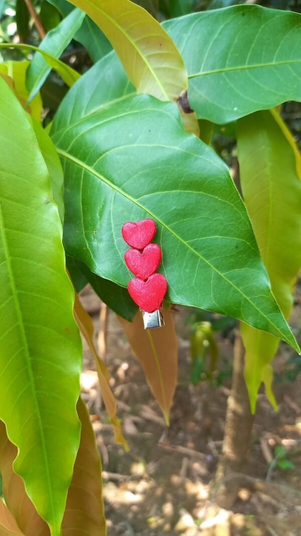 Hair Clip Set (5)