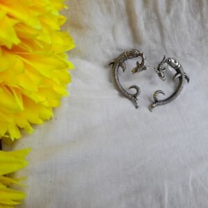 Earrings🐬